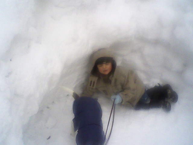 v-iglu